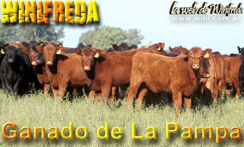 Rodeos de Conhelo crecen un 6%