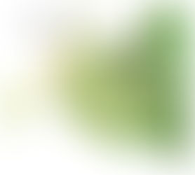 Fondos de la Ley Nacional de Bosques