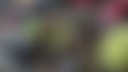 Observaciones sobre la separación de residuos en Winifreda