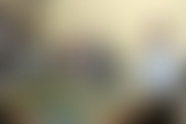 La provincia adquirió un drone para controlar las parcelas