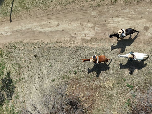 Preocupación en la región: la falta de lluvias complica la siembra de la cosecha gruesa en el departamento Conhello