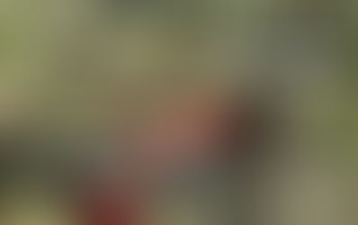 Las pérdidas materiales por la tormenta superan el millón y medio de pesos