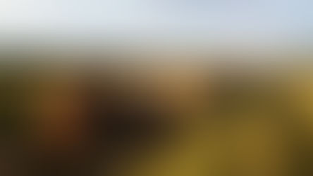 Colonia Menonita: murió un chico de 14 años, aplastado por un tractor