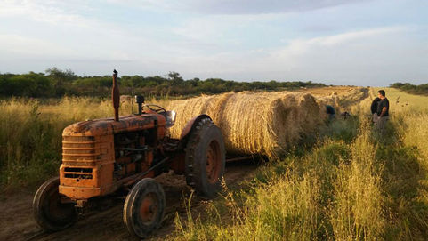 Colonia Menonita: murió un chico de 14 años, aplastado por un tractor