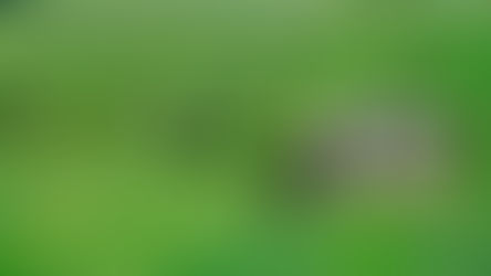 Ganadería, sequía y recría: alternativas de manejo