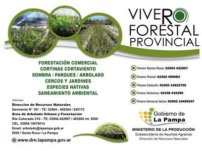 Diferentes alternativas del Vivero Forestal Provincial