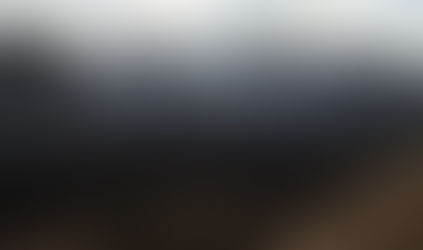 Winifreda: se incendian 180 hectáreas de monte de caldén