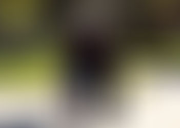 La Pampa: hubo 8.568 despidos en 2018