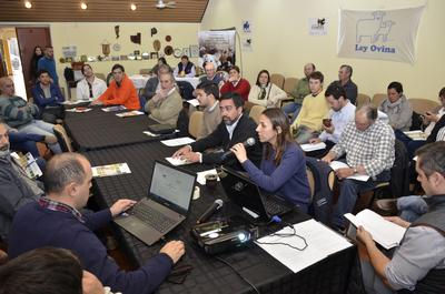 Producción: Pre foro ovino y caprino