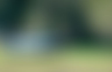 Se le escapó un tiro y mató al amigo