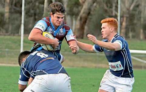 Un pampeano entre canguros