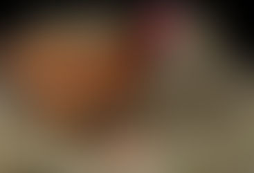 El INTA entregará gallinas ponedoras en Winifreda