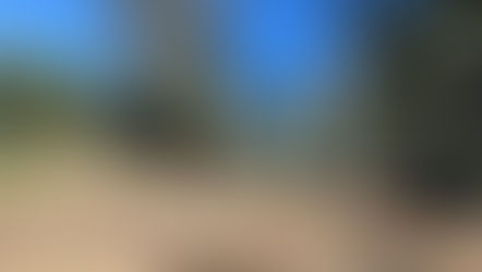 Conmoción en Conhello: hallaron sin vida a un apicultor en un establecimiento rural y confirmaron muerte natural