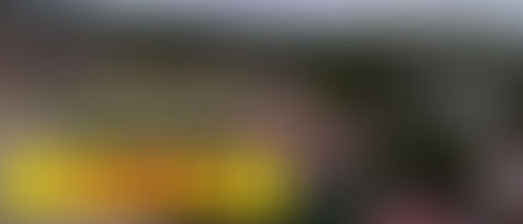 Frentistas reclaman asfalto