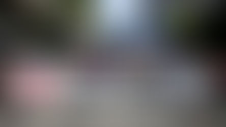 Empleo registrado: solo en julio se perdieron 57.000