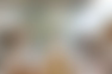 La Pampa es representante de la Patagonia en el Consejo Federal de Ciencia y Tecnología