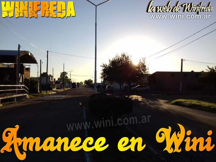 Winifreda