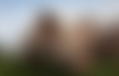 Carneadas en los campos pampeanos y un peligro: la triquinosis