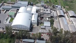 Crisis profunda en el Frigorífico Pico: casi 200 despidos, faena paralizada y fuerte impacto social en la región