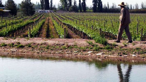 Atuel: La Pampa duda del 43% de eficiencia de riego mendocino