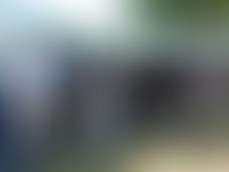 Festejos del 110 aniversario de Luan Toro