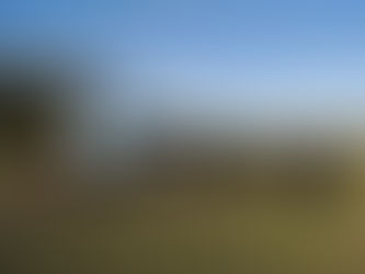 Silos de grano ''self service'' para bovinos