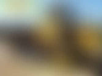 Se amplía el parque automotor municipal de Winifreda