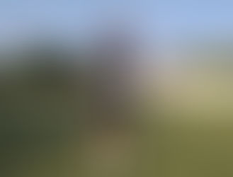 El pampeano Alexis Mac Allister fue vendido en cifra récord