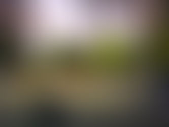 Separar los residuos en casa: la Municipalidad de Winifreda lanzó una guía simple para cuidar el ambiente