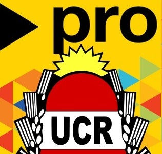 UCR-PRO: las grietas, la ambigüedad y las recetas nacionales