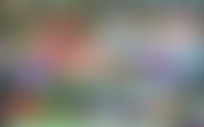 Fin de semana de temperaturas agradables, ideal para visitar el "Parque Acuático de Winifreda"