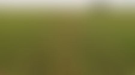 Agricultura: El barbecho químico y los herbicidas residuales