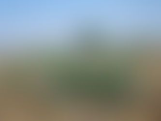 Aumentó el uso de agrotóxicos