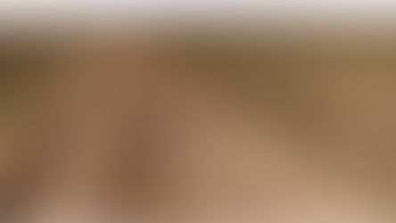 La Pampa invertirá $ 100 millones en prevención de incendios