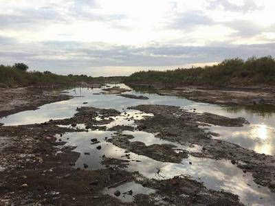Harán un estudio sobre el río Salado