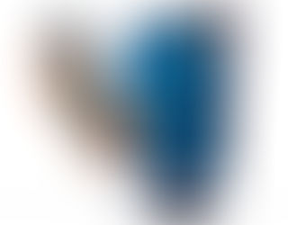 Salud: «Nacer 365» es un nuevo programa de la telemedicina pampeana