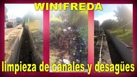 Winifreda : Limpieza de canales y desagües