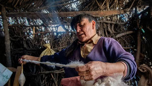 De Victorica a Vogue: la tejedora ranquel Guillermina Cabral lleva el arte textil pampeano a Buenos Aires