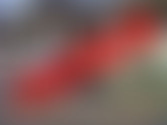 Pidieron prisión por amenazas