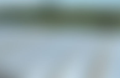 El campo tiene 900.000 toneladas en silobolsas