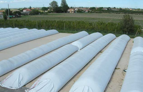 El campo tiene 900.000 toneladas en silobolsas