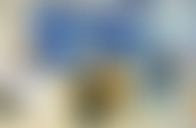 Proponen la creación de un Hospital Veterinario Público