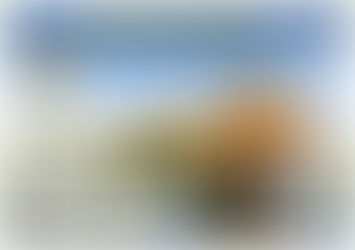 Agenda variada para toda la toda la familia