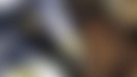 La Pampa busca potenciar a la miel en producción y comercialización