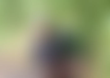 "Verna es responsable del accionar policial que permite Tierno"