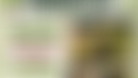 Indignación en Winifreda: vandalizaron la huerta escolar de la Escuela N° 104 y buscan esclarecer lo ocurrido