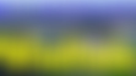 102° aniversario de Winifreda