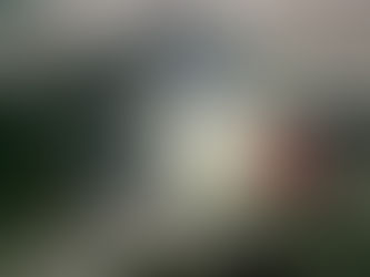 Encuentran una cueva cerca de Puelén