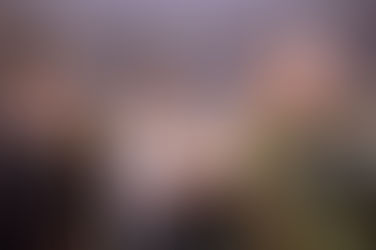 Curso Básico de Operaciones Policiales