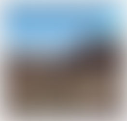 Sara de Ugalde presenta su libro 'Nostalgias'